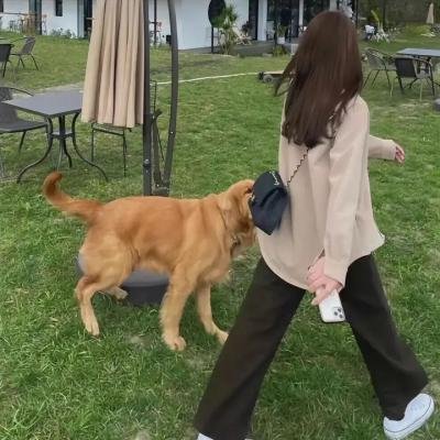 亚特兰蒂斯