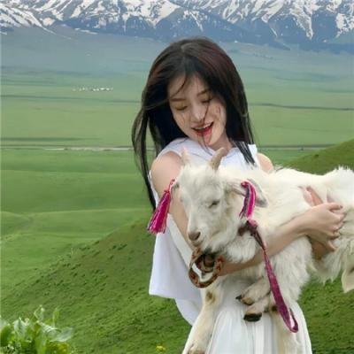 震向性教育